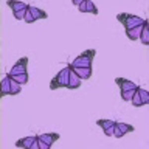 Meet your Posher, Milana